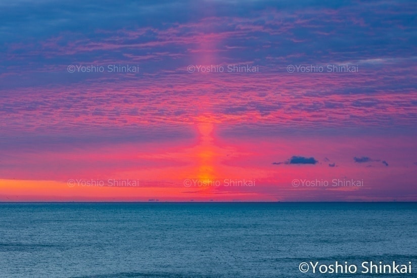 朝の光　伊良湖岬