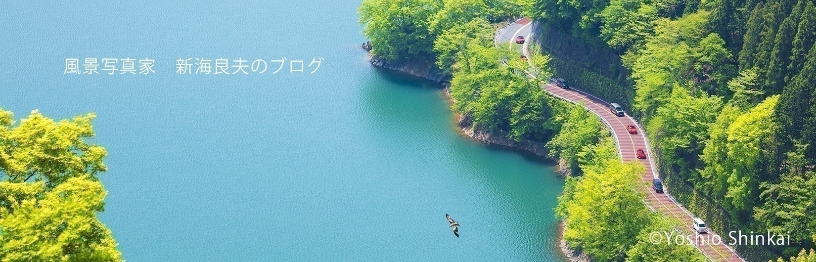 奥多摩湖の道と飛ぶ鳥