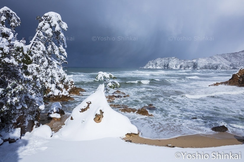 雪の浦富海岸