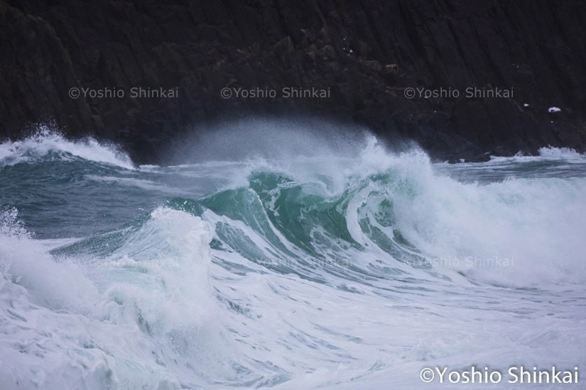 冬の日本海の波