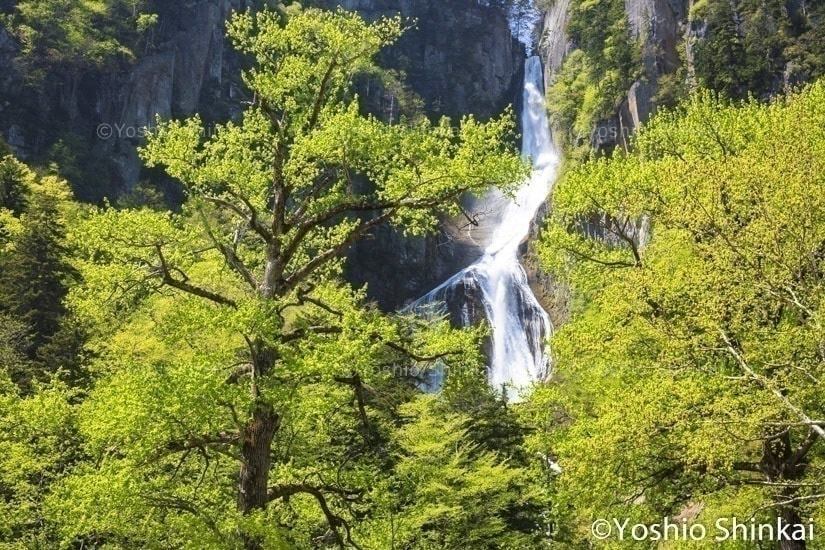 層雲峡の銀河の滝