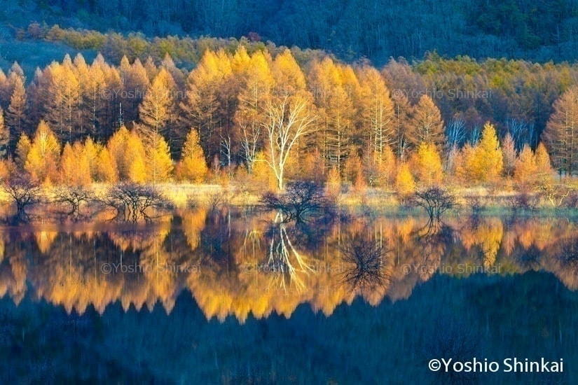 小田代ヶ原の水鏡