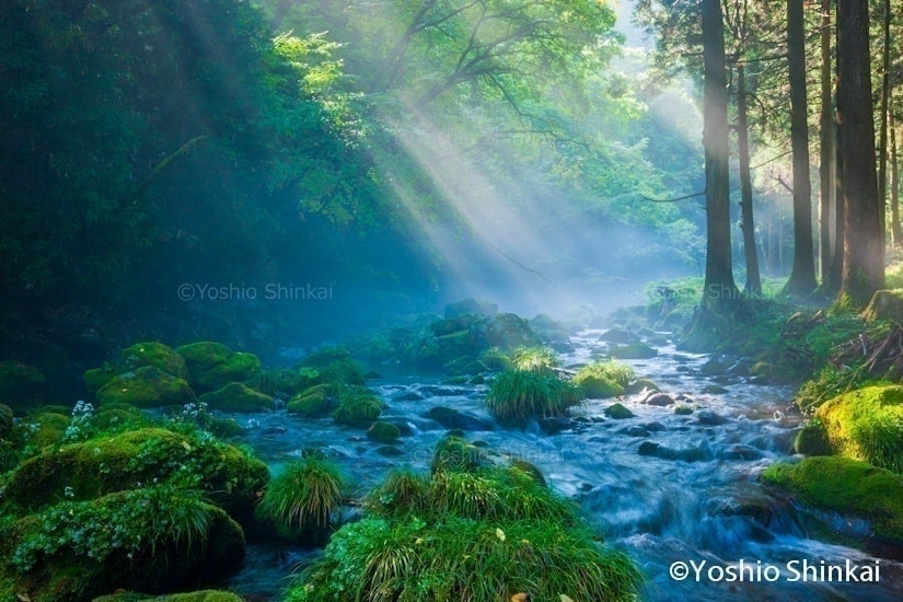 光芒差す川