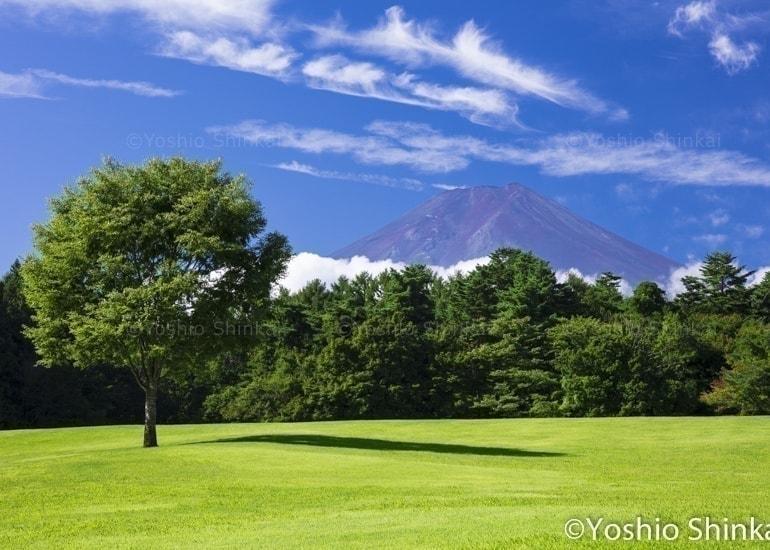 夏の富士山