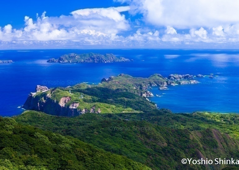 乳房山から南崎を望む