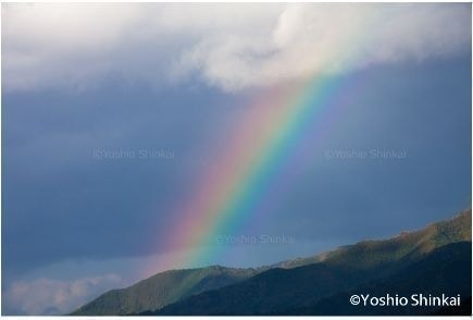 虹の写真