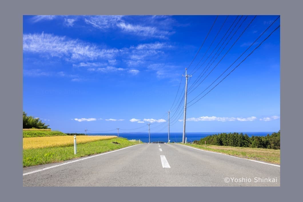 海に向かってのびる道