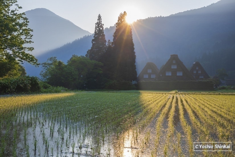 白川郷　朝