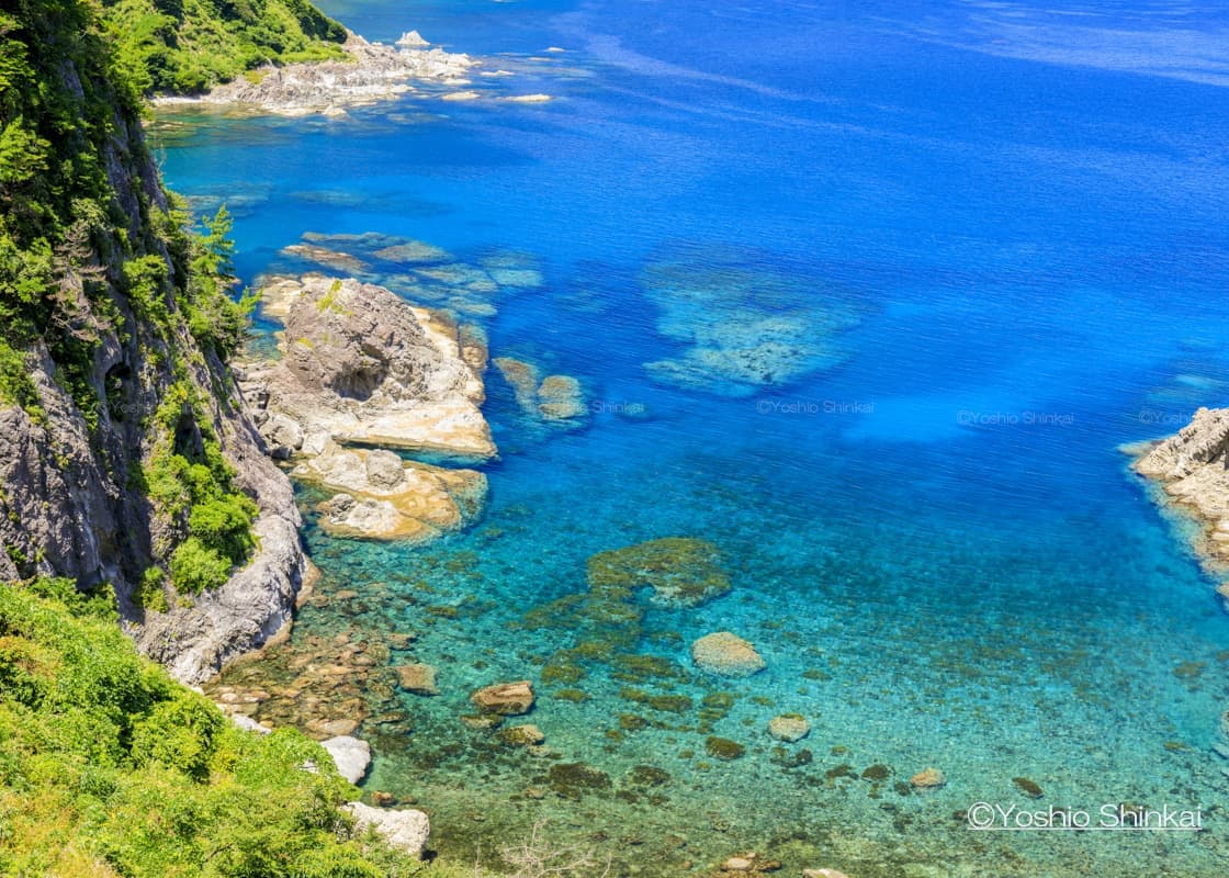 蒲入展望台の海