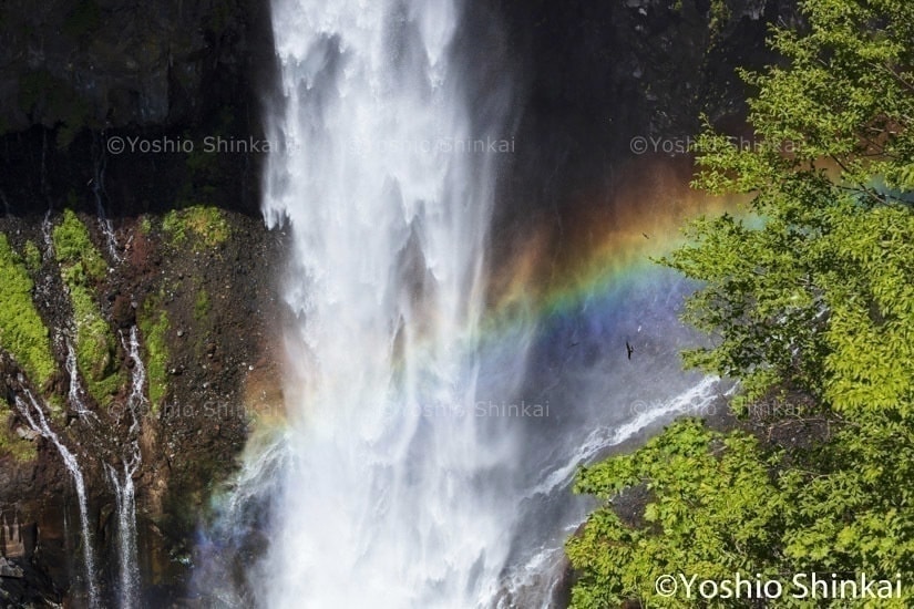 虹かかる華厳の滝